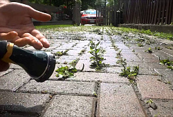 Способы предотвращения роста сорняков на тротуарной плитке